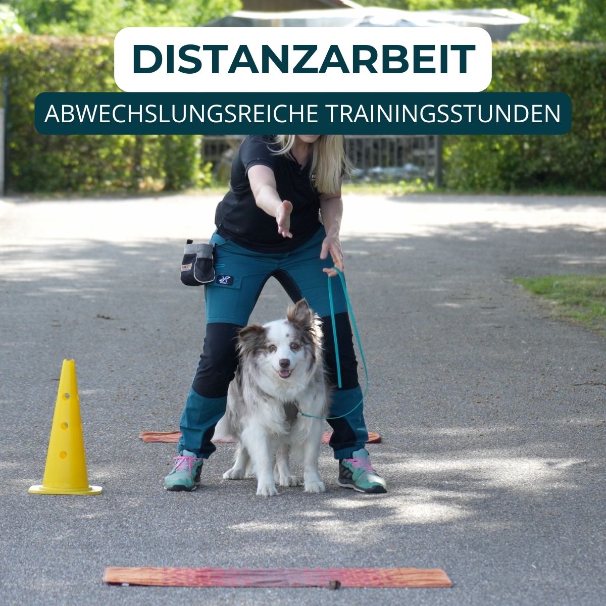 Hundeschule Passau, Hundetraining Salzweg, Hundeerziehung, Welpenschule