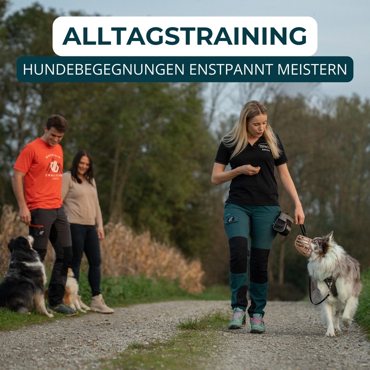 Hundeschule Passau, Hundetraining Salzweg, Hundeerziehung, Welpenschule