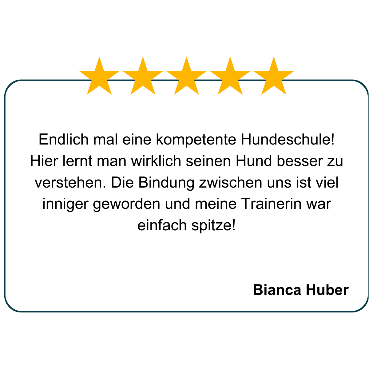 Hundeschule Passau, Hundetraining Salzweg, Hundeerziehung, Welpenschule