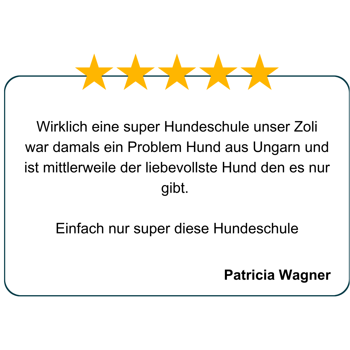 Hundeschule Passau, Hundetraining Salzweg, Hundeerziehung, Welpenschule