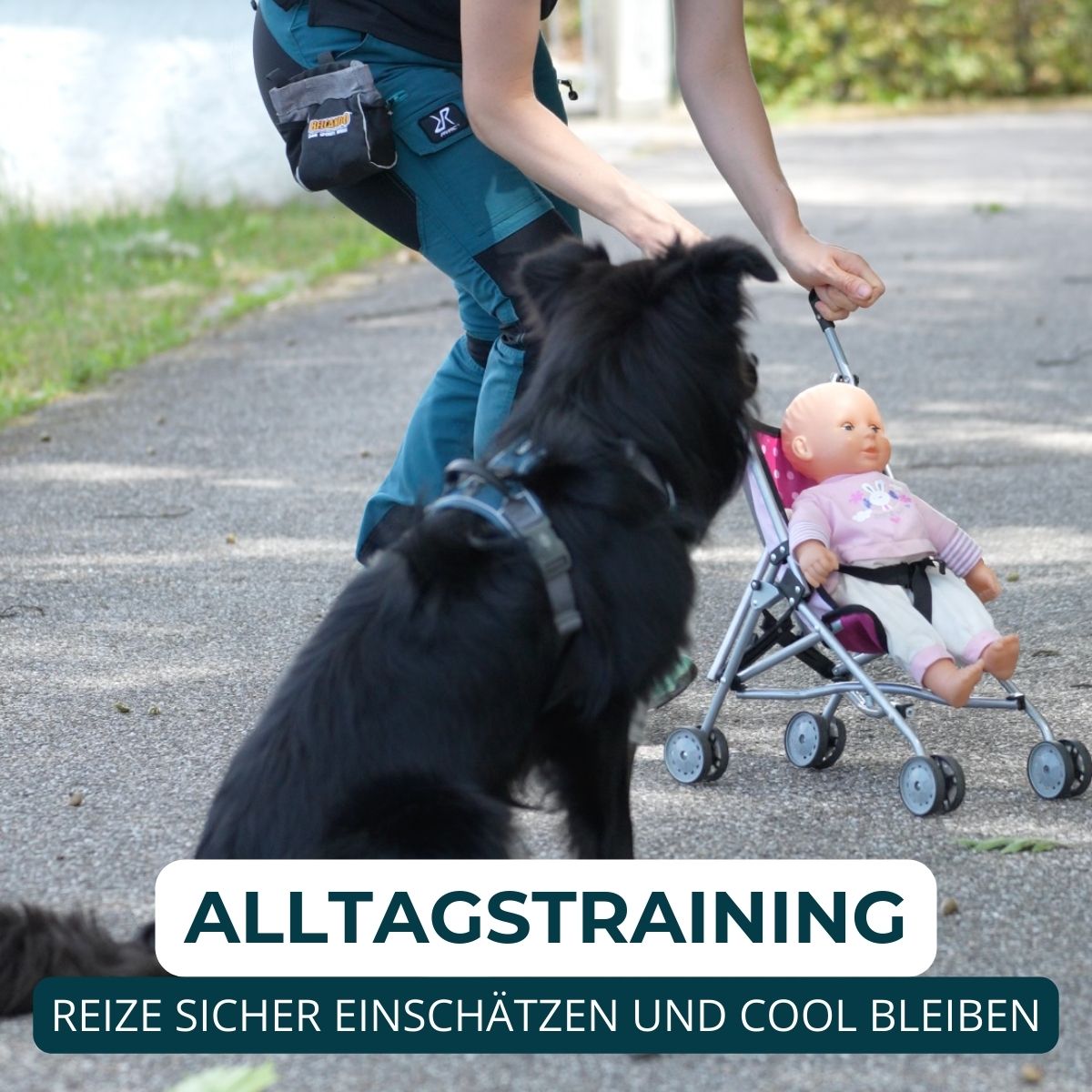 Hundeschule Passau, Hundetraining Salzweg, Hundeerziehung, Welpenschule