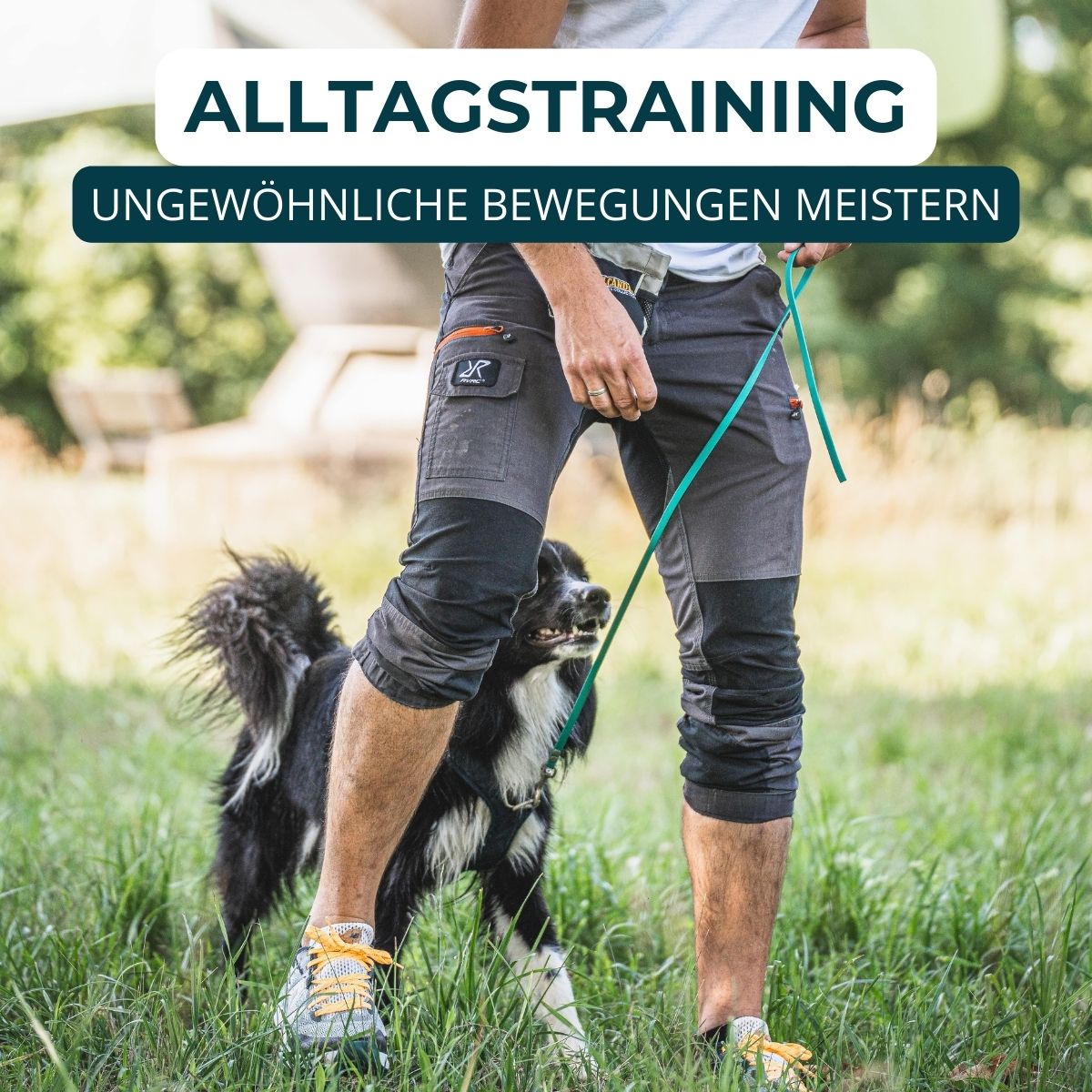 Hundeschule Passau, Hundetraining Salzweg, Hundeerziehung, Welpenschule